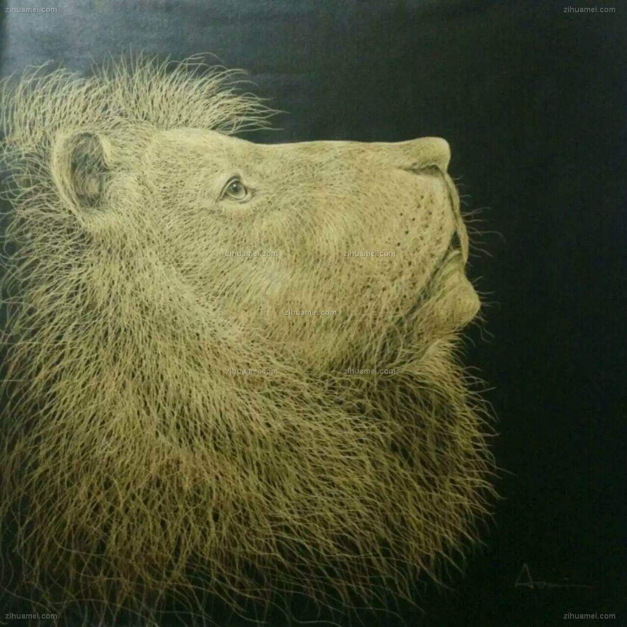 www.zihuamei.com工笔动物油画