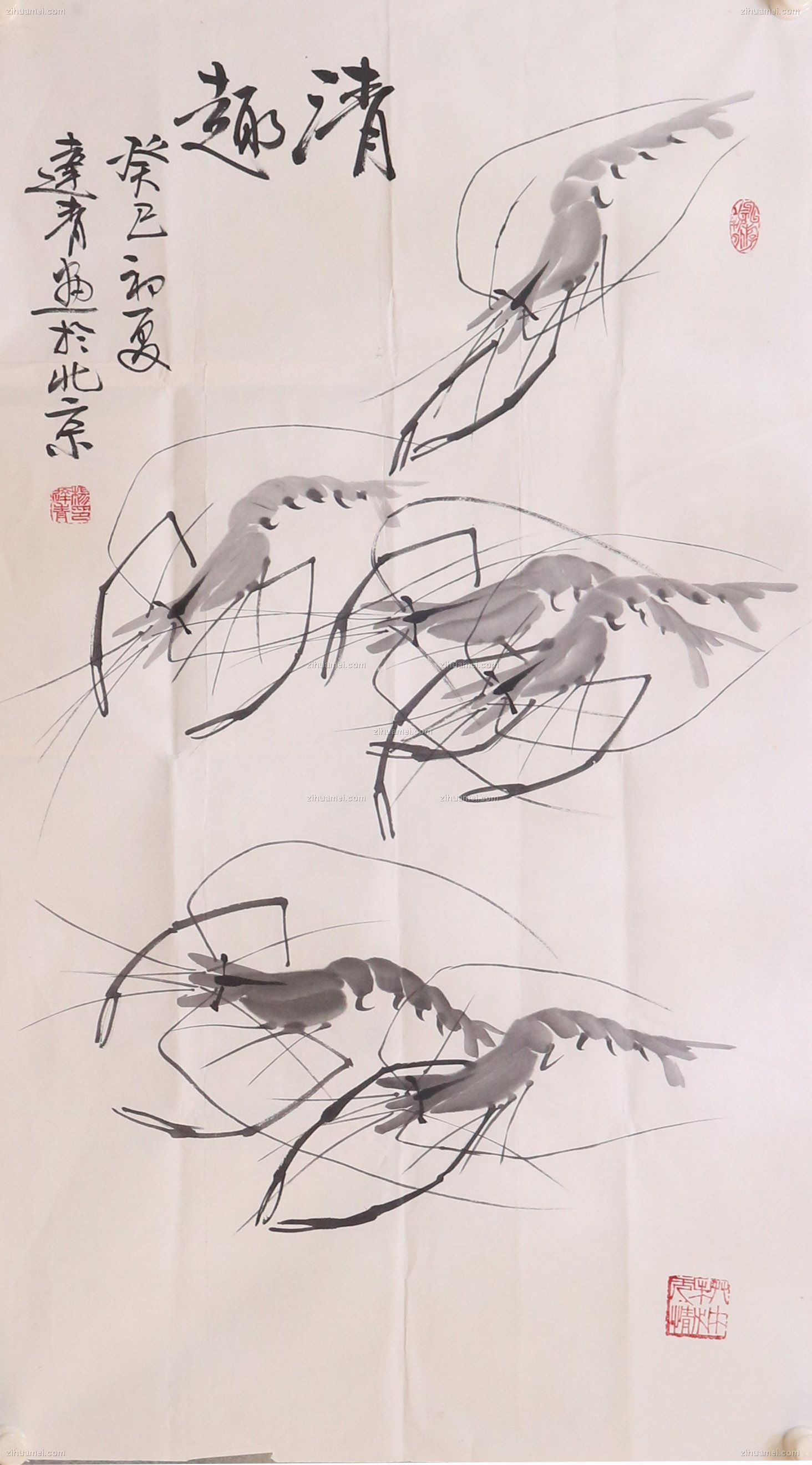 杨达青 虾