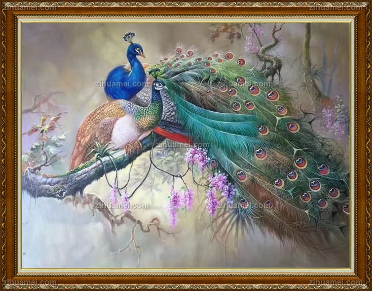 www.zihuamei.com孔雀油画风景紫滕花鸟画
