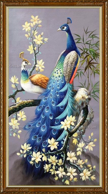 孔雀是吉祥象征着阴阳结合以及和谐油画风景花鸟画