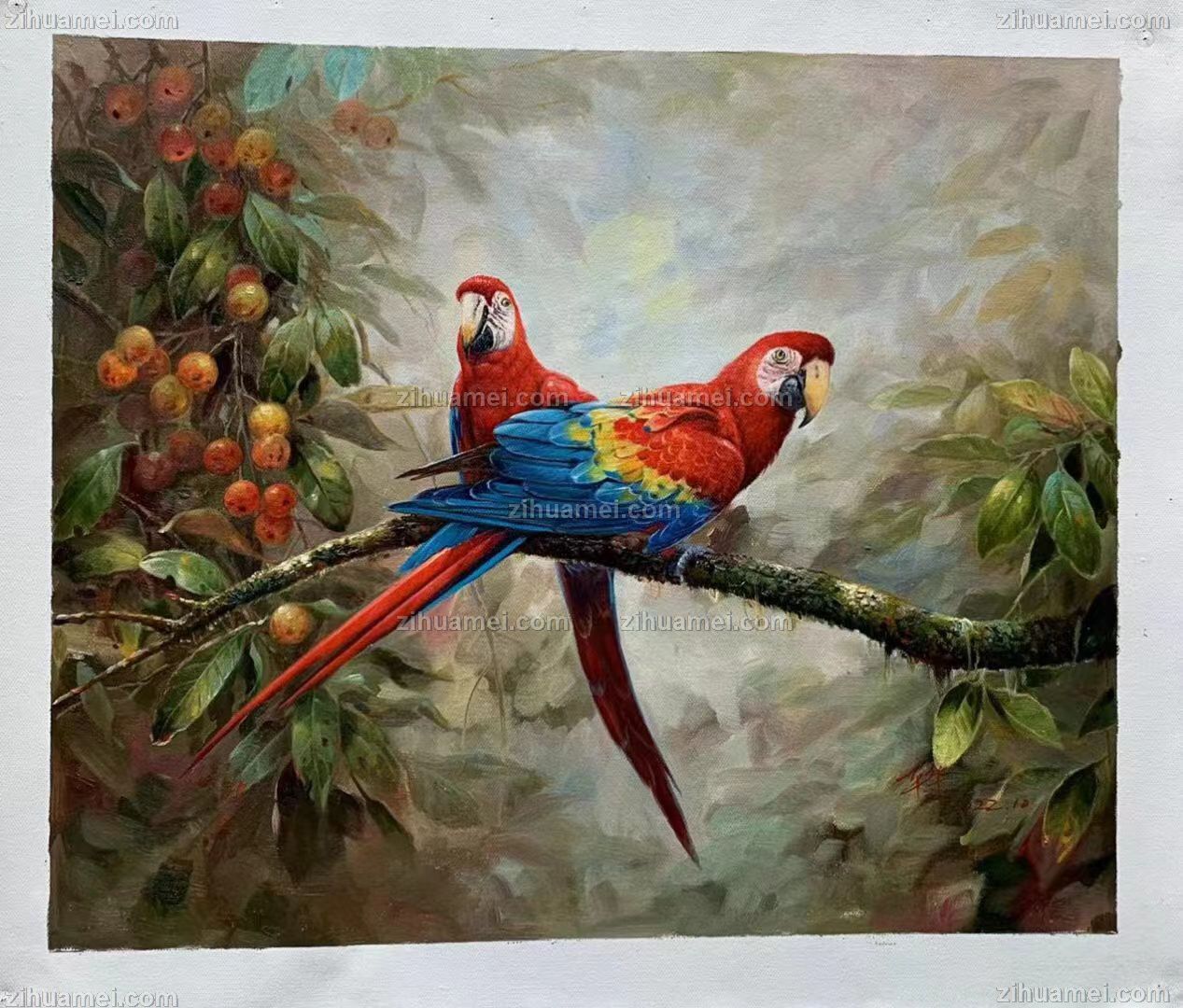 品质手绘动物油画金钢鹦鹉