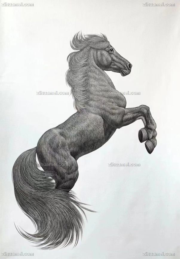现代装饰艺术手绘油画动物画