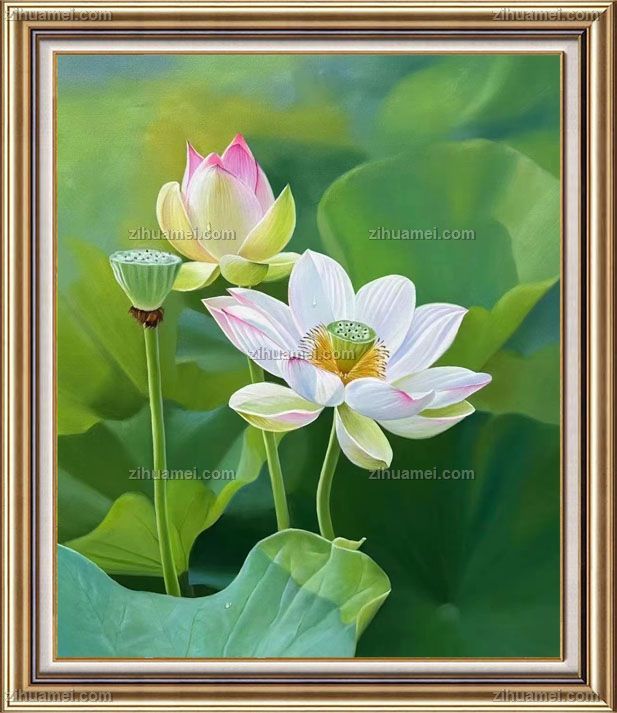 收藏精品荷花风景油画