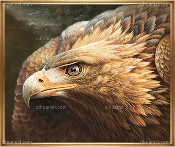 客厅书房动物油画老鹰油画