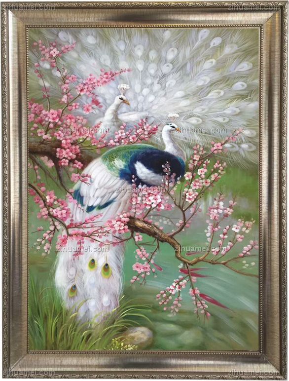 孔雀 高贵