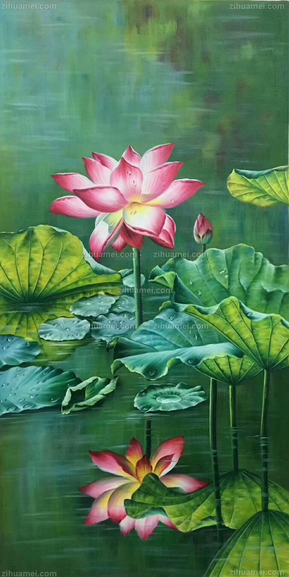 荷花