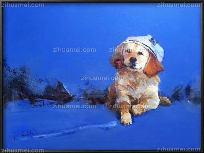 www.zihuamei.com