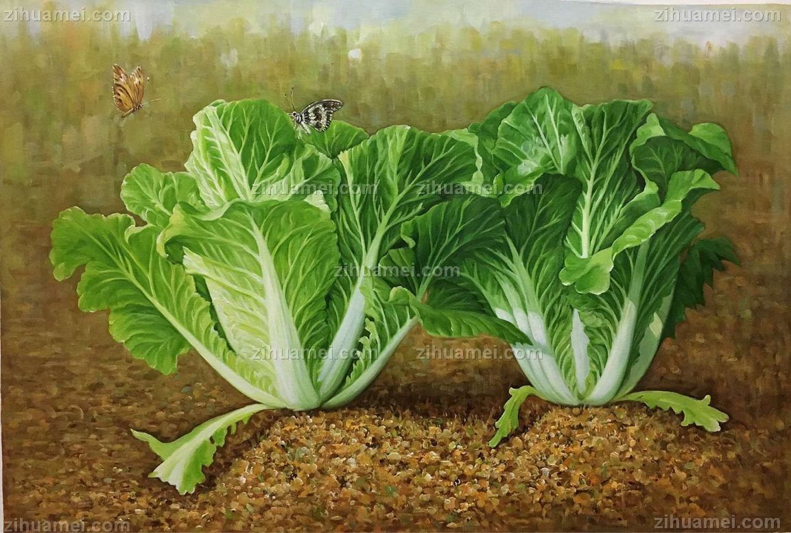 白菜布面手绘油画