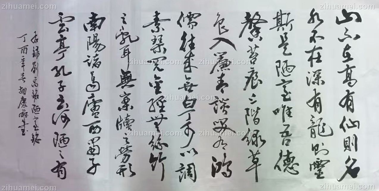 www.zihuamei.com