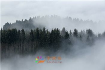 新中式装饰画新中式晶瓷画现代中式装饰画