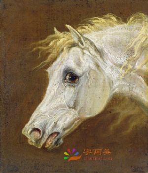 动物油画手绘欧式动物油画