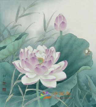 精品花鸟国画工笔花鸟国画方形花鸟水墨画
