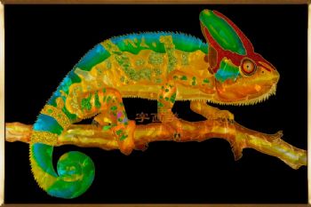 高端实物珐琅彩挂画精品珐琅彩艺术