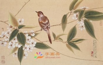 花鸟虫小品工笔国画