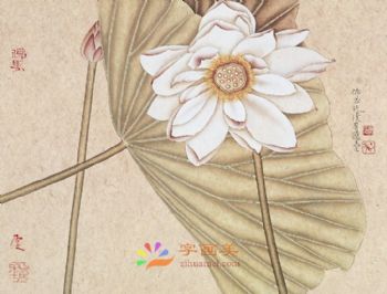 花鸟虫小品工笔国画