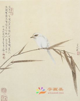 花鸟虫小品工笔国画