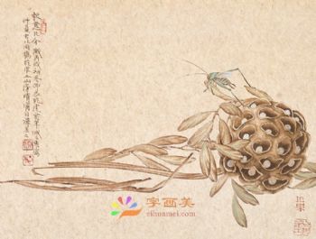 花鸟虫小品工笔国画