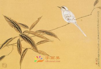 花鸟虫小品工笔国画