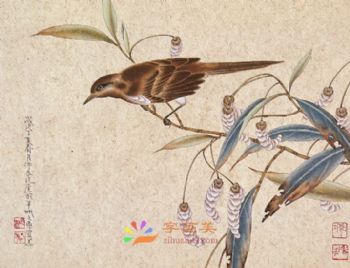 花鸟虫小品工笔国画