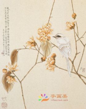 花鸟虫小品工笔国画