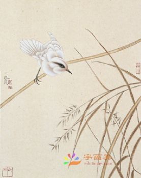 花鸟虫小品工笔国画