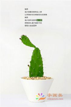 组合装饰画轻奢三联组合画晶瓷画