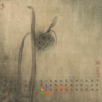 精品花鸟国画工笔花鸟国画方形花鸟水墨画