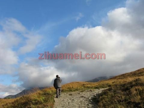 www.zihuamei.com