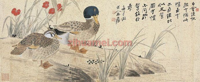 zihua.xiaoinfo.com