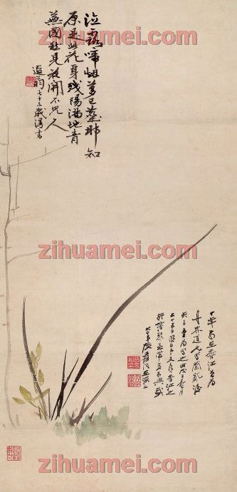 zihua.xiaoinfo.com