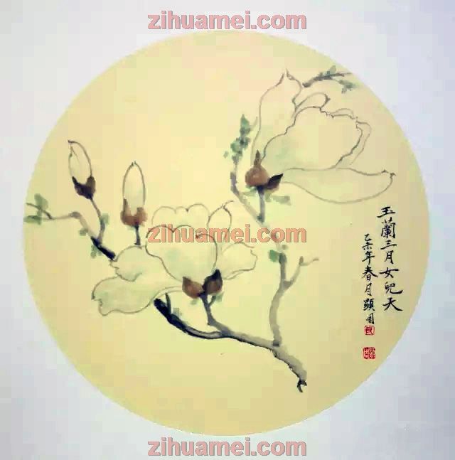 www.zihuamei.com