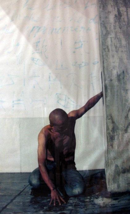 www.zihuamei.com