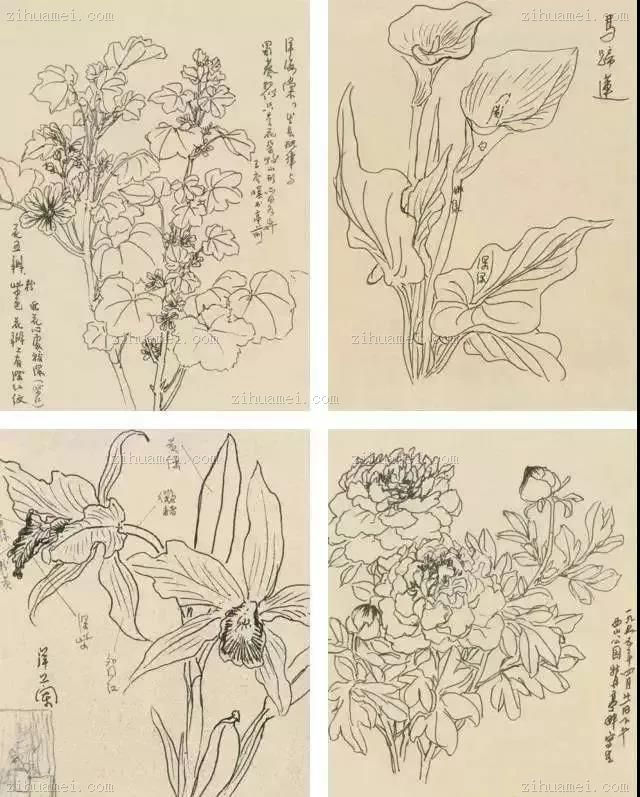 写生花卉课徒画稿系列·吴茀之